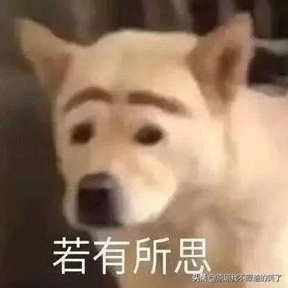 搞笑：30条短而精悍的笑话，你能忍住不笑么（超级搞笑的短笑话）