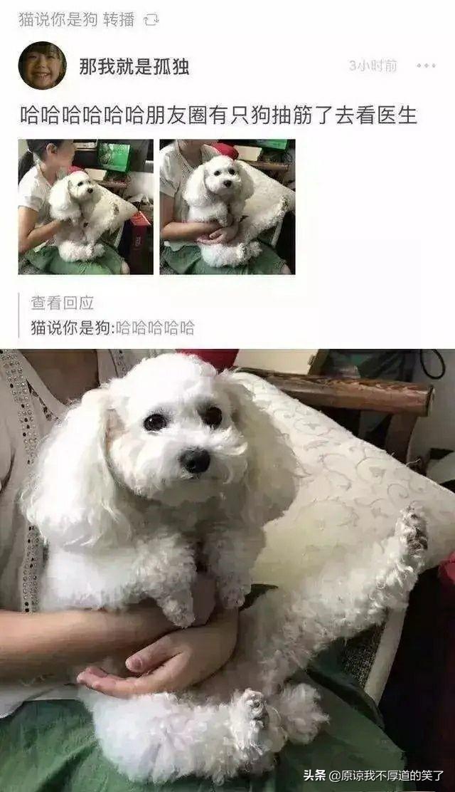 搞笑：30条短而精悍的笑话，你能忍住不笑么（超级搞笑的短笑话）