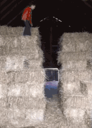 搞笑段子：这些鸡有点厉害（关于鸡的搞笑动画电影）