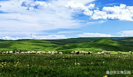 笑话大全 爆笑简短 笑到肚子疼超级爆笑（能让全班哄堂大笑的笑话）