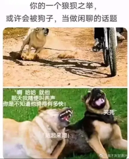 超搞笑幽默的沙雕笑话段子分享，每天都要爆笑啊！（搞笑沙雕合集视频）