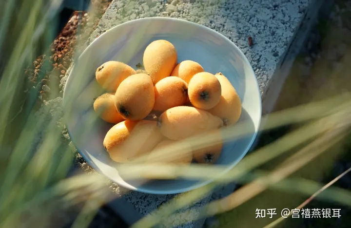 枇杷有哪些功效好处？和银耳一起煮成甜汤，营养更丰富！（枇杷银耳雪梨汤的做法大全）