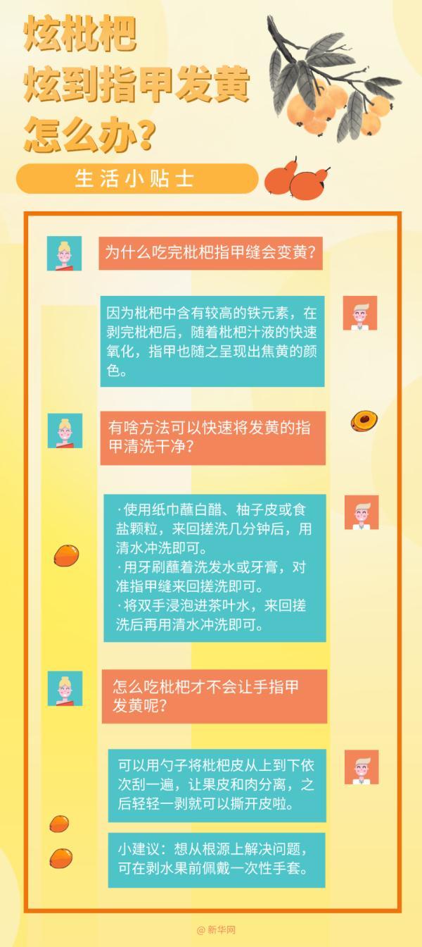 夏季枇杷开炫！这条食用禁忌要知道（枇杷新吃法）