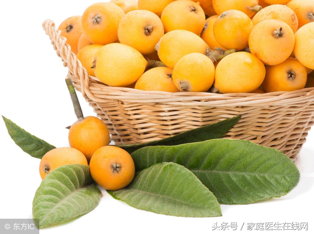 枇杷小巧酸甜，而它的叶子，更是有这4个妙用（枇杷叶子怎么治咳嗽）