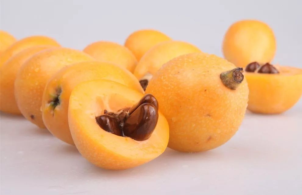 佳果枇杷治咳嗽（枇杷果能止咳）