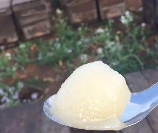 蜂蜜有什么作用和功效?蜂蜜的好处和功效-蜂蜜有哪些作用与功效与禁忌图片