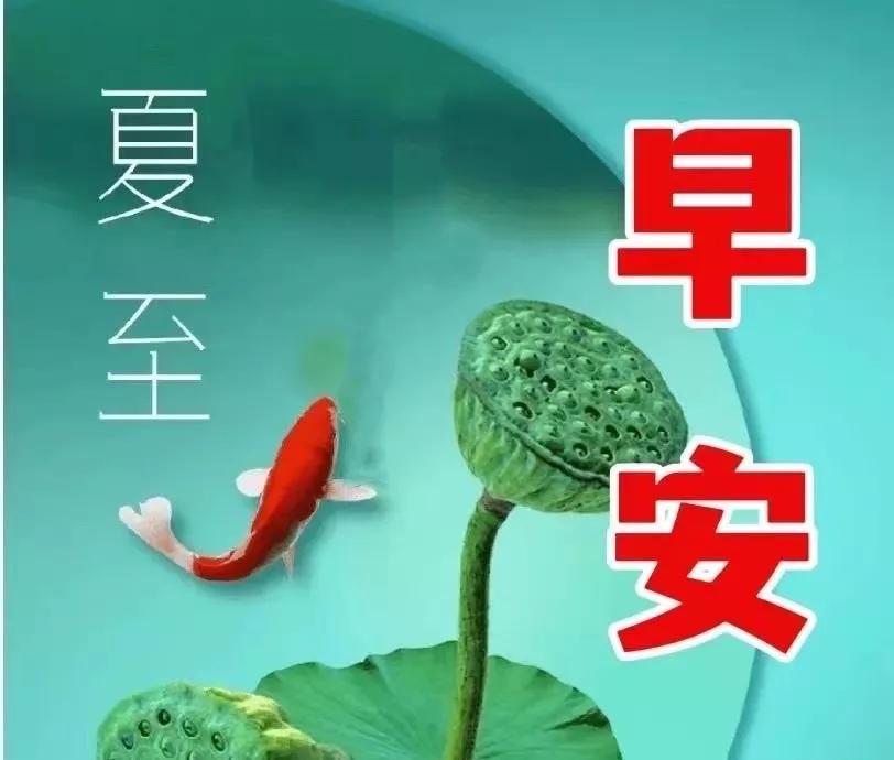 「2023.7.2」问候早安图片大全，温馨的早上好正能量，周末快乐-早安图片 问候语 祝福 每日更新