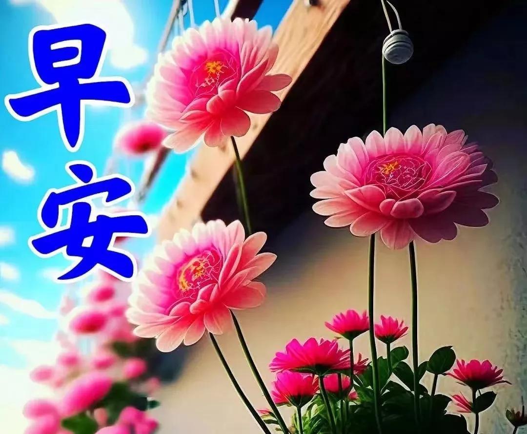 「2023.7.2」问候早安图片大全，温馨的早上好正能量，周末快乐-早安图片 问候语 祝福 每日更新