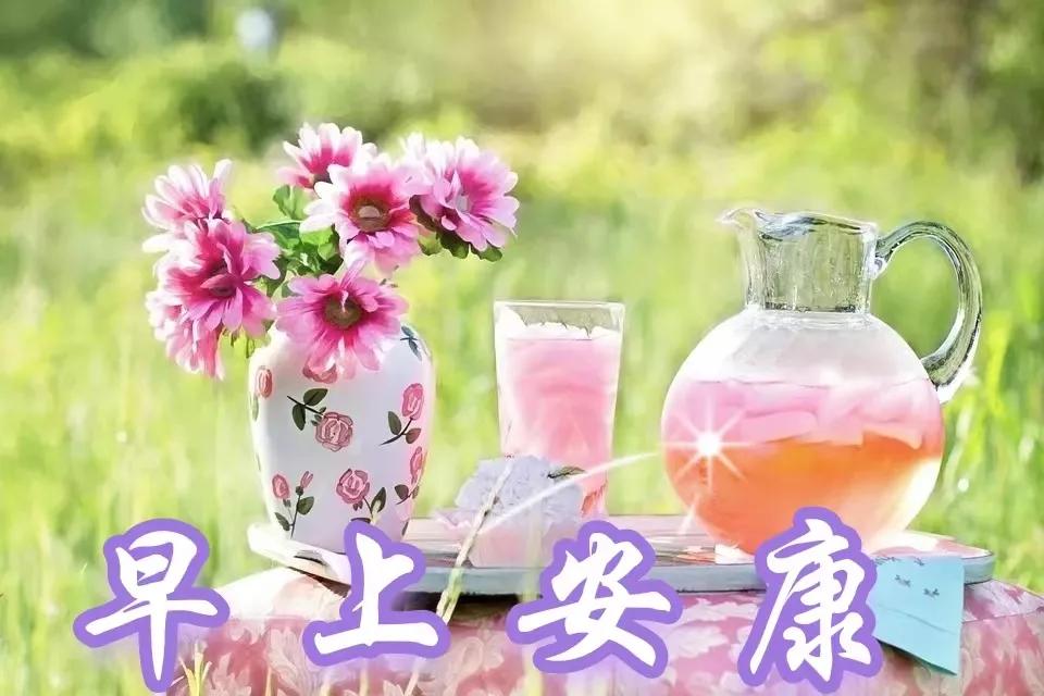 「2023.7.2」问候早安图片大全，温馨的早上好正能量，周末快乐-早安图片 问候语 祝福 每日更新