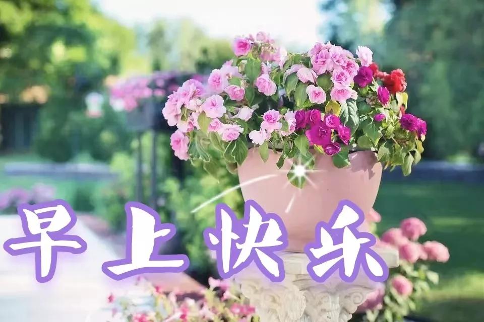 「2023.7.2」问候早安图片大全，温馨的早上好正能量，周末快乐-早安图片 问候语 祝福 每日更新