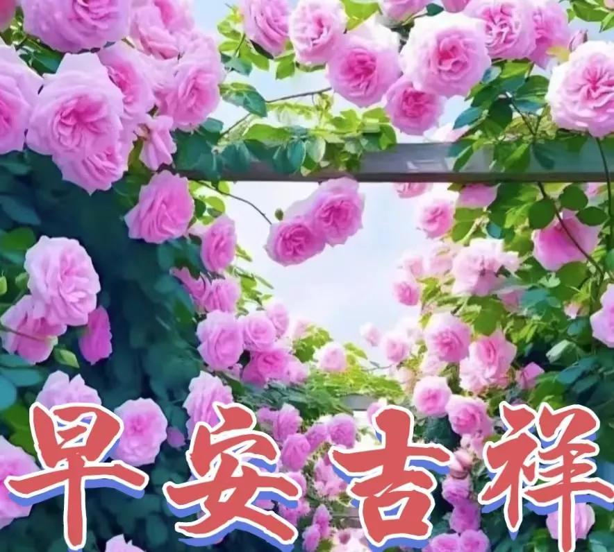 「2023.6.30」早安正能量经典语录，早上好祝福图片，周五快乐-周五早安励志