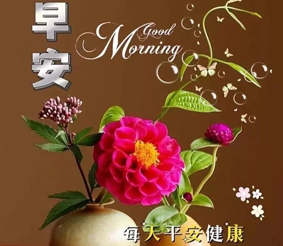 「2023.6.30」早安正能量经典语录，早上好祝福图片，周五快乐-周五早安励志