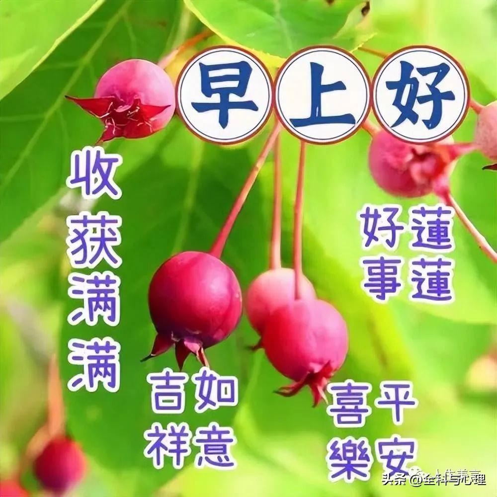 早安心语一天一语，最新早上好祝福图片-早上好的带图片的祝福语