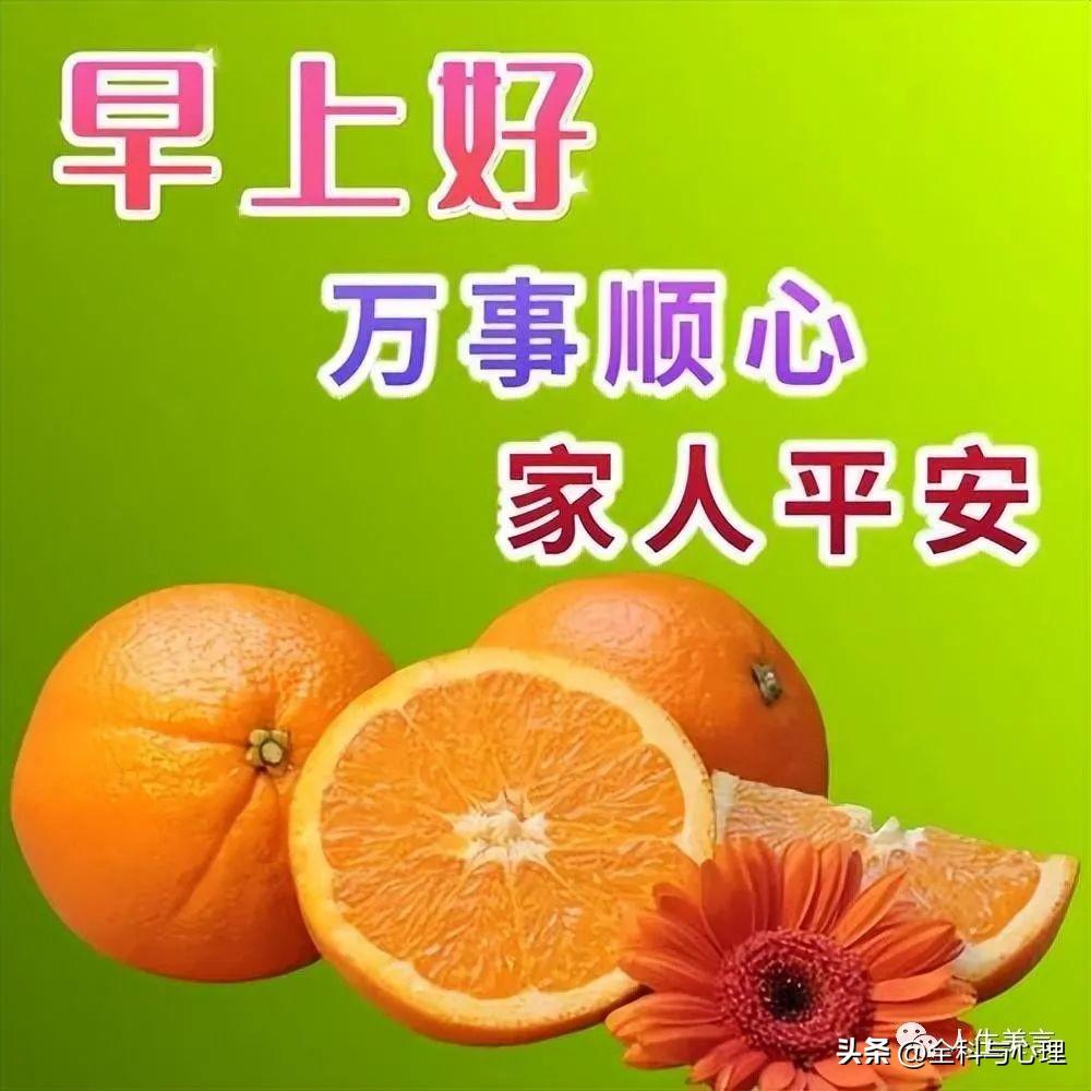 早安心语一天一语，最新早上好祝福图片-早上好的带图片的祝福语