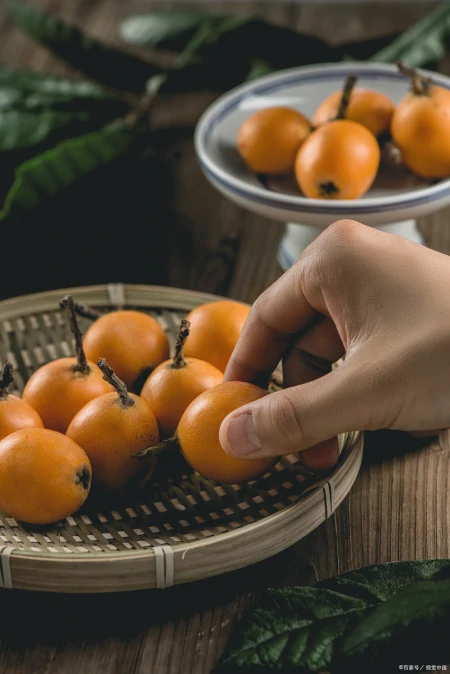 尝一口鲜美的枇杷，探寻这种神奇水果的无限魅力（枇杷的果实有什么功效）