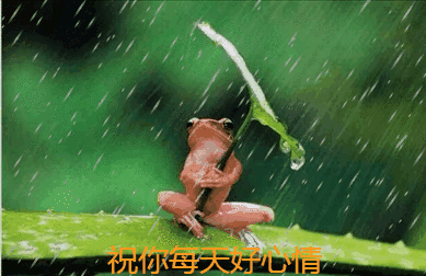 2019最新早上好图片动态表情包，2019最美早晨好动态表情图片-早上好的动图大全 最美