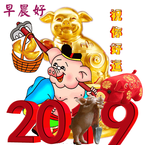 2019最新早上好图片动态表情包，2019最美早晨好动态表情图片-早上好的动图大全 最美