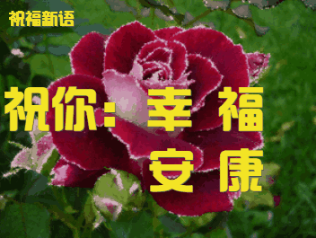 2019最新早上好图片动态表情包，2019最美早晨好动态表情图片-早上好的动图大全 最美