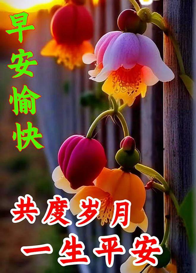 早上好新版唯美祝福图片-早上好最新精美图片祝福语大全