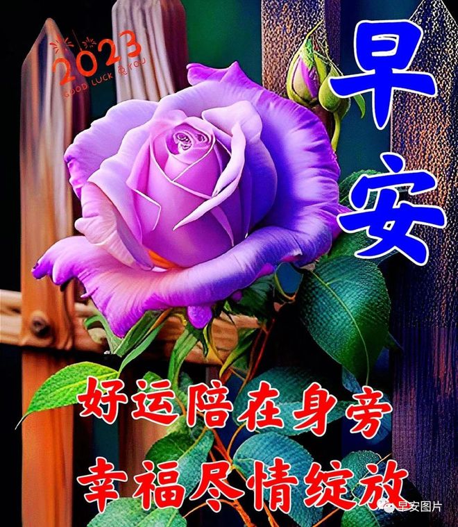 早上好新版唯美祝福图片-早上好最新精美图片祝福语大全