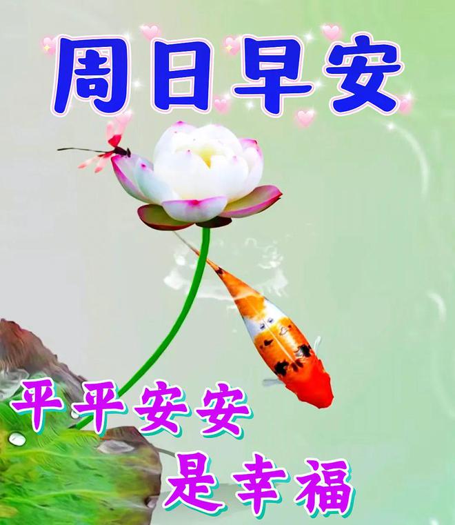 早上好新版唯美祝福图片-早上好最新精美图片祝福语大全