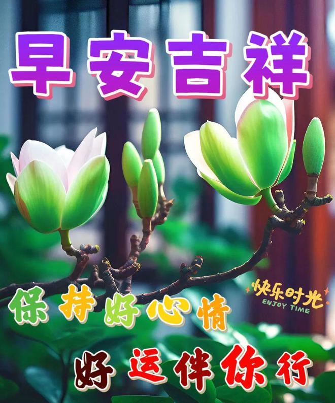 早上好新版唯美祝福图片-早上好最新精美图片祝福语大全