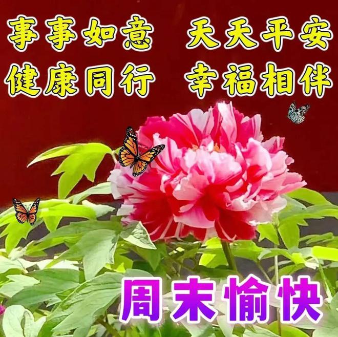 早上好新版唯美祝福图片-早上好最新精美图片祝福语大全