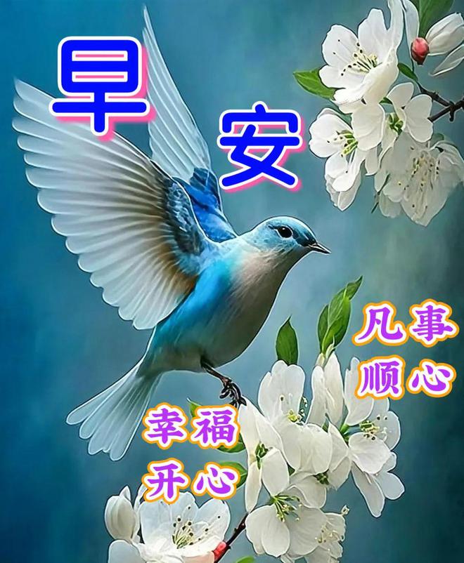 早上好新版唯美祝福图片-早上好最新精美图片祝福语大全