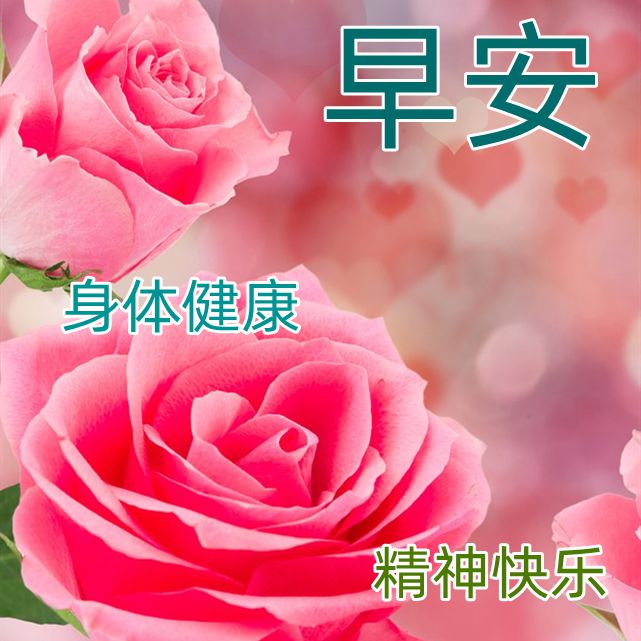 早安图片，唯美早安问候祝福图片，温馨祝福语句子-早安图片 问候语 唯美 文字