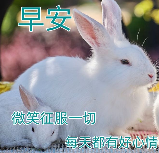 早安图片，唯美早安问候祝福图片，温馨祝福语句子-早安图片 问候语 唯美 文字