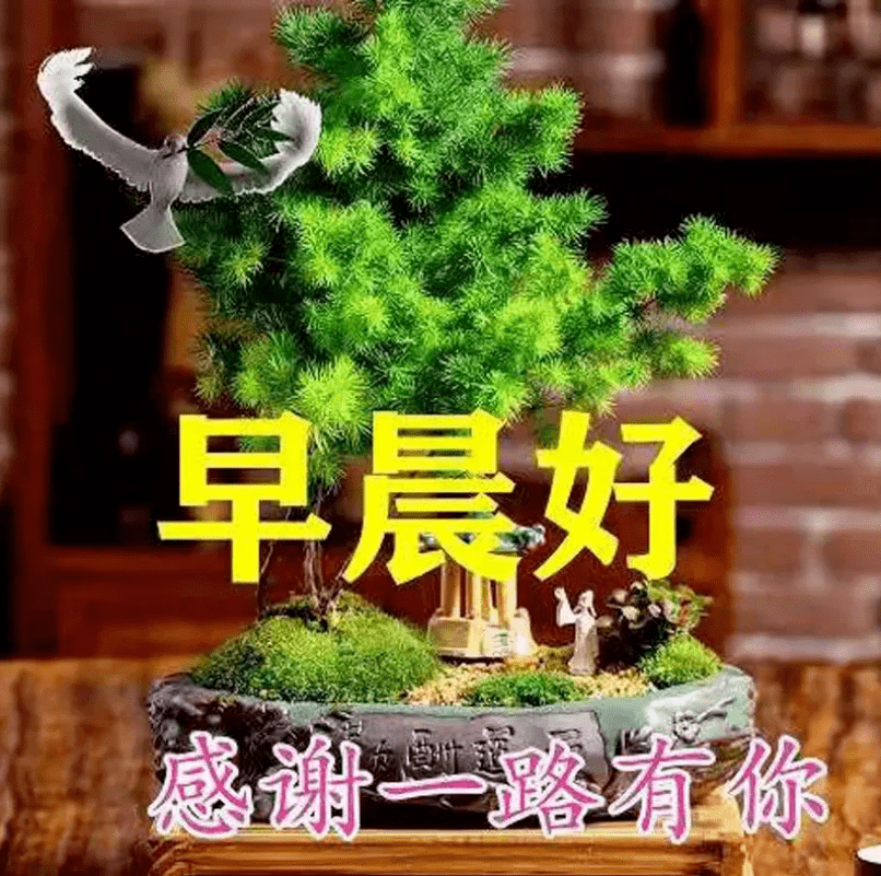 新款早上好图片大全，今天早上好图片最新-早上好的新图片大全动态