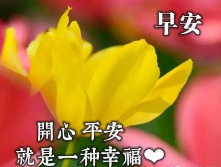 适合早晨群发的早上好祝福短信语录，很漂亮的早安问候表情图片-早晨群发问候语短句子