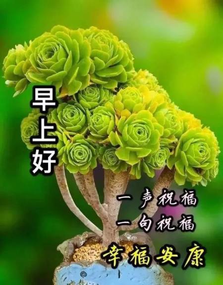 适合早晨群发的早上好祝福短信语录，很漂亮的早安问候表情图片-早晨群发问候语短句子