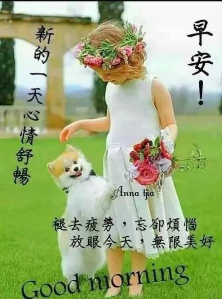 适合早晨群发的早上好祝福短信语录，很漂亮的早安问候表情图片-早晨群发问候语短句子