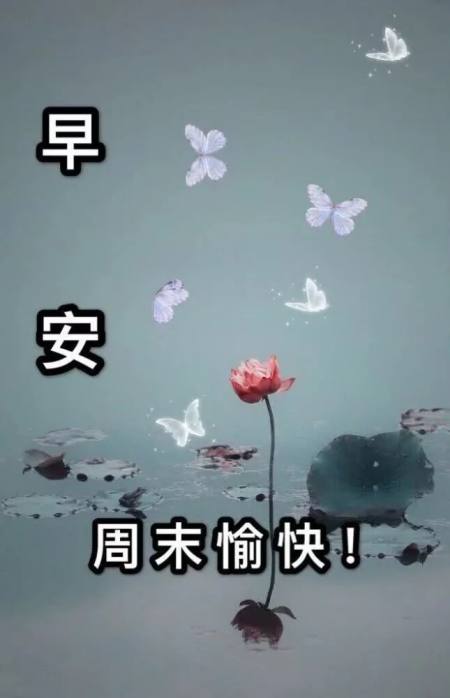 适合早晨群发的早上好祝福短信语录，很漂亮的早安问候表情图片-早晨群发问候语短句子