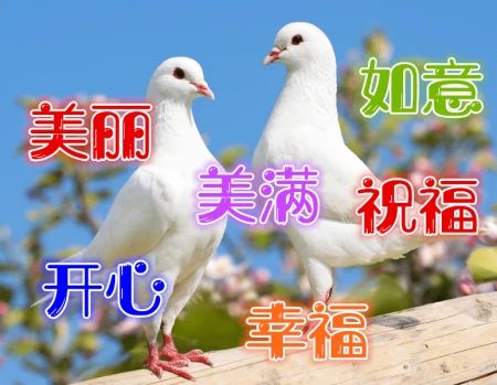 早安问候语：早上好，愿你有一个充满力量和能量的一天-早安充满正能量励志语短句