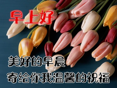 早安问候语：早上好，愿你有一个充满力量和能量的一天-早安充满正能量励志语短句