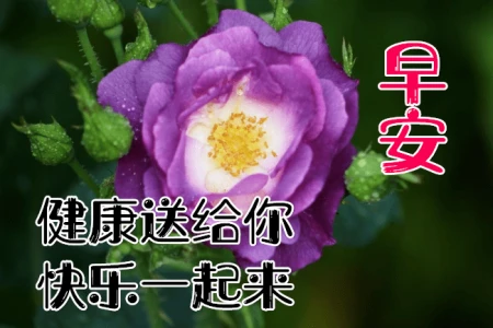 早安问候语：早上好，愿你有一个充满力量和能量的一天-早安充满正能量励志语短句