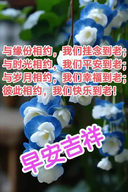 问候语早上好，早上好！带着爱和笑容去迎接今天的一切-早上好问候语大全