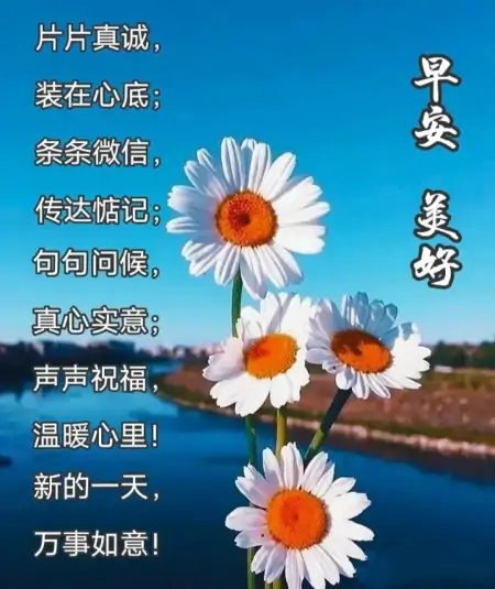 问候语早上好，早上好！带着爱和笑容去迎接今天的一切-早上好问候语大全