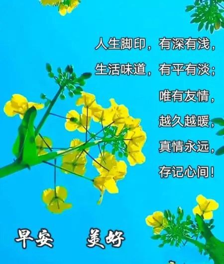 问候语早上好，早上好！带着爱和笑容去迎接今天的一切-早上好问候语大全