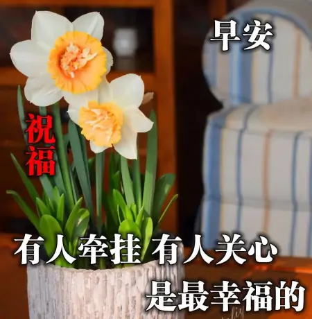 微信早上好温馨祝福很赞图片，发朋友圈必备早安句子-早上早安的微信祝福语大全四字