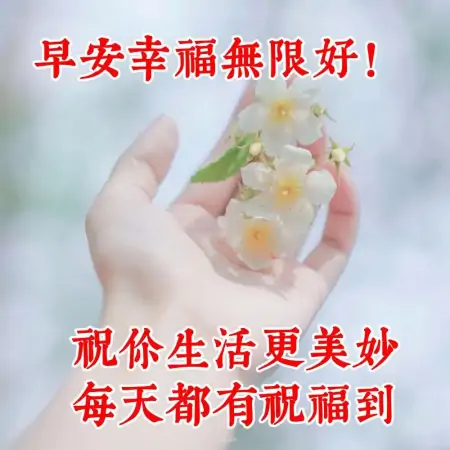 微信早上好温馨祝福很赞图片，发朋友圈必备早安句子-早上早安的微信祝福语大全四字