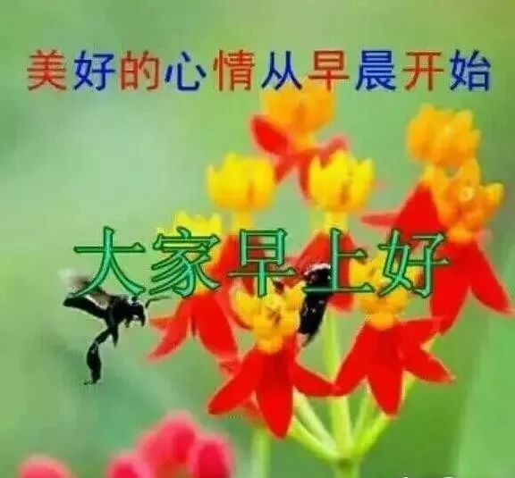 2021早上好问候表情图片大全 最新好漂亮的早安问候带图片-早上好问候语的表情包