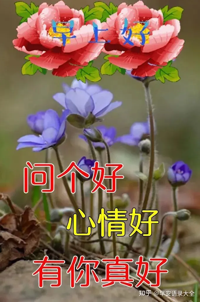8张最新漂亮早上好图片鲜花带字带祝福语 2022最美春日早安问候祝福鲜花图片带字温馨-早上好的祝福图片,早上好的问候图