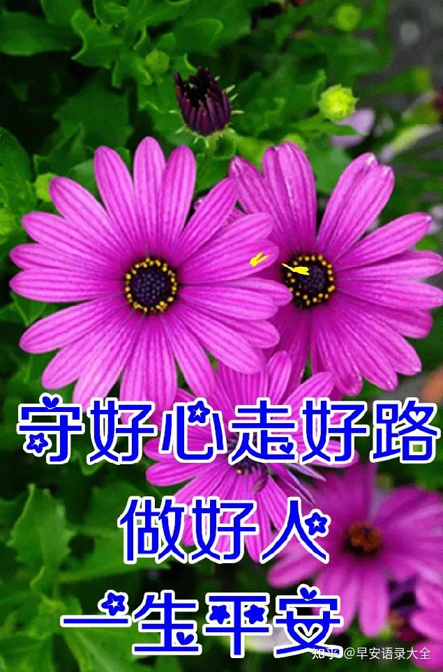 8张最新漂亮早上好图片鲜花带字带祝福语 2022最美春日早安问候祝福鲜花图片带字温馨-早上好的祝福图片,早上好的问候图