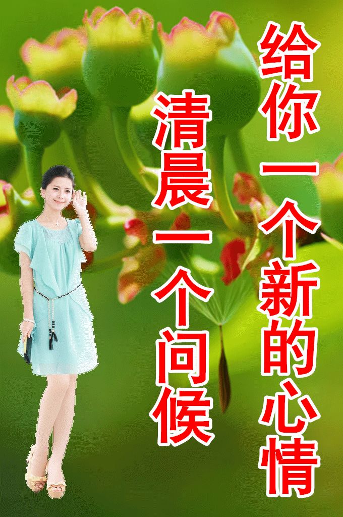 8张最新漂亮早上好图片鲜花带字带祝福语 2022最美春日早安问候祝福鲜花图片带字温馨-早上好的祝福图片,早上好的问候图