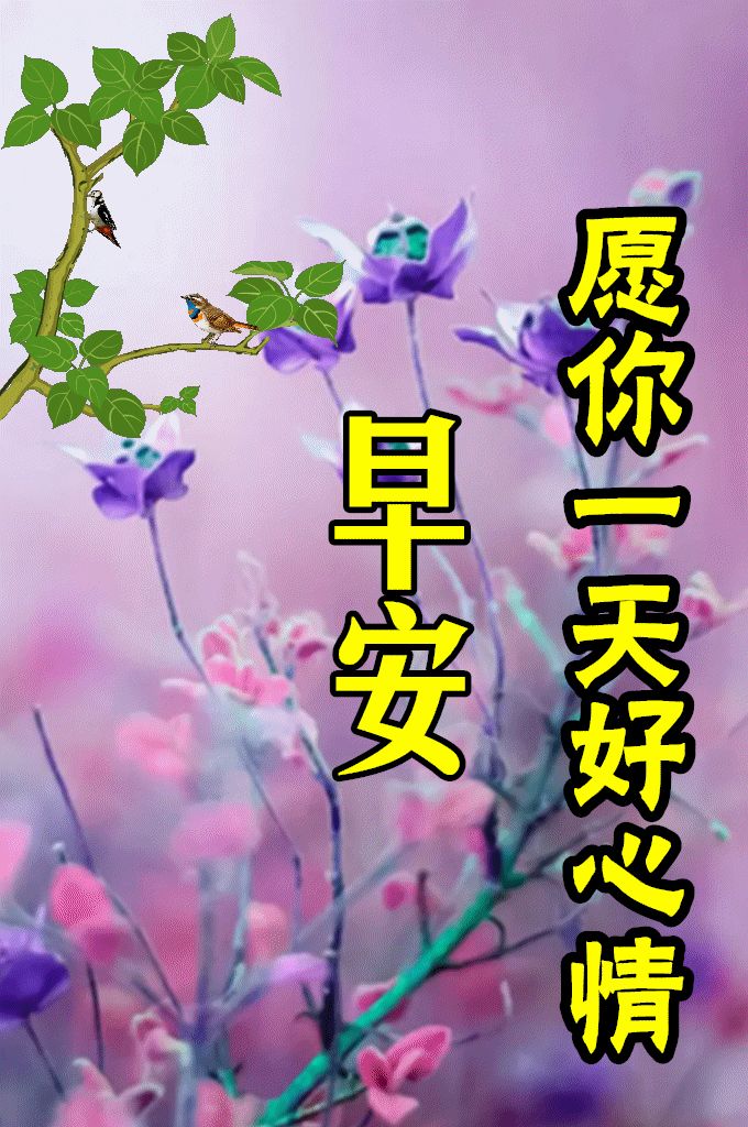 8张最新漂亮早上好图片鲜花带字带祝福语 2022最美春日早安问候祝福鲜花图片带字温馨-早上好的祝福图片,早上好的问候图
