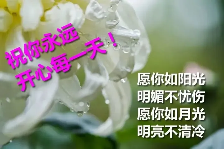 早上好超级漂亮动态祝福图片带字，暖心的早安问候图片-最新版早上好的动态图片和问候语