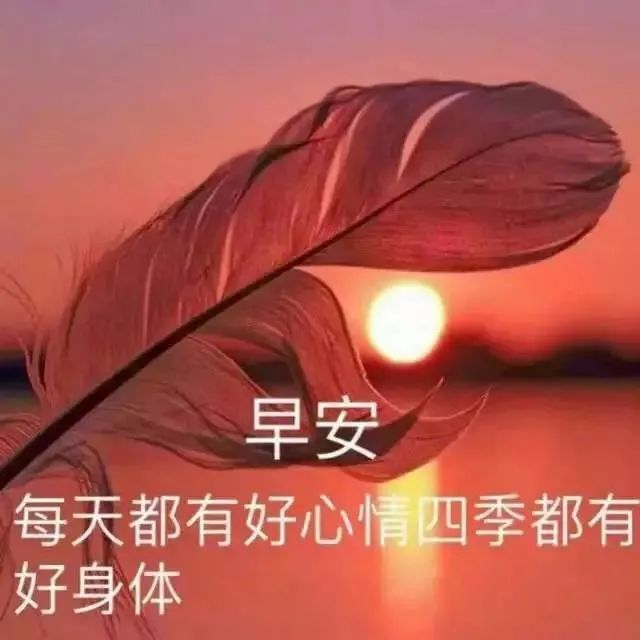 早上好超级漂亮动态祝福图片带字，暖心的早安问候图片-最新版早上好的动态图片和问候语